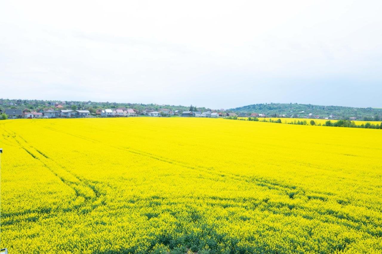 Apartman Sunset View Skalica Bagian luar foto